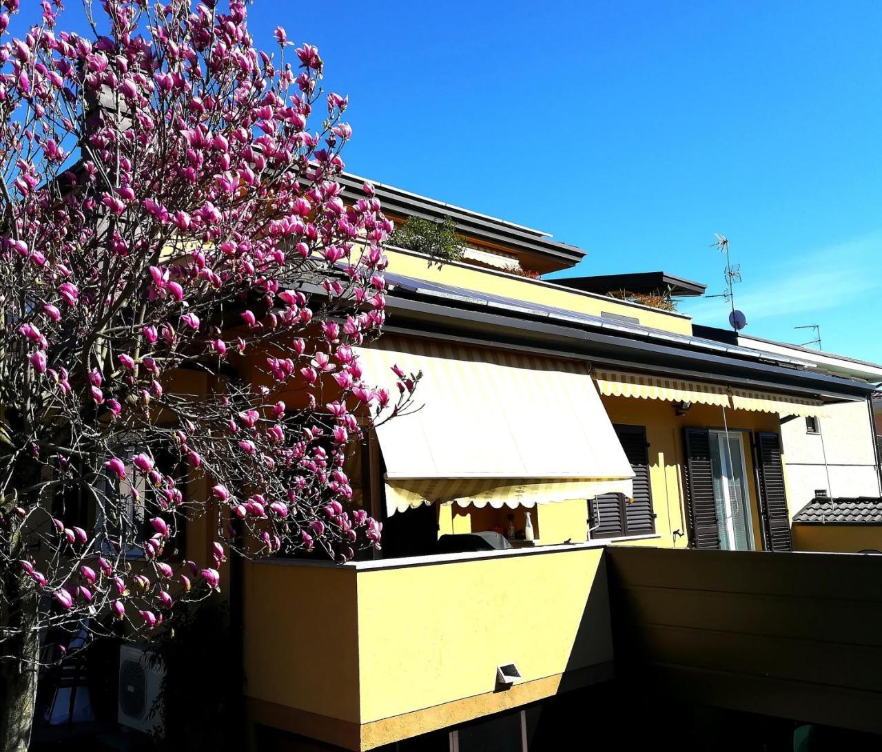 Ferienwohnung Il Terrazzo Casorate Sempione Exterior foto